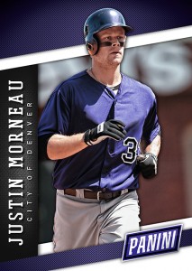 Panini America 2014 Boxing Day Team Colors (6)