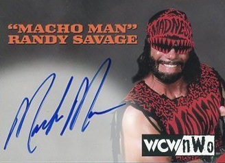 RANDY POFFO MACHO MAN SAVAGE 1/1 2019 LEAF SKETCH ONLY POFFO CARD EVER MADE  