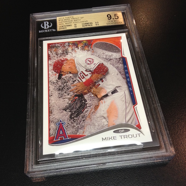 BGS-Trout2015WM