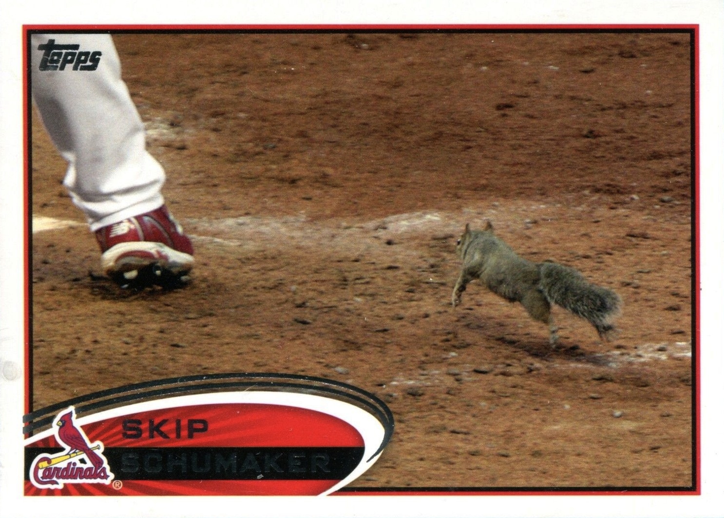 RallySquirrel