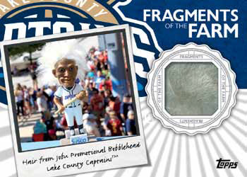 2016 Topps Pro Debut Baseball Fragments of the Farm