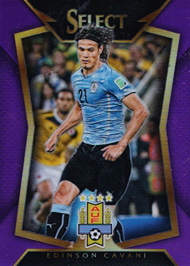15 Sel Var 50 Cavani Purple
