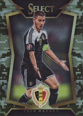 15 Sel Var 84 Hazard