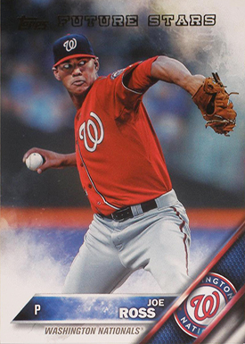 2016 T 132 Joe Ross