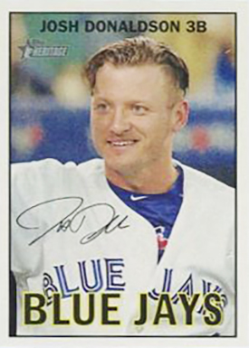 2016 T Her Color 483 Donaldson