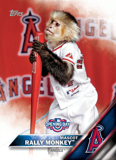 Rally Monkey, Hank the Ballpark Pup Get First Baseball Cards