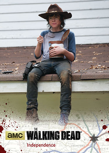 Walking Dead Season 4 Part 1 Bios Chase Card C04 Michonne 