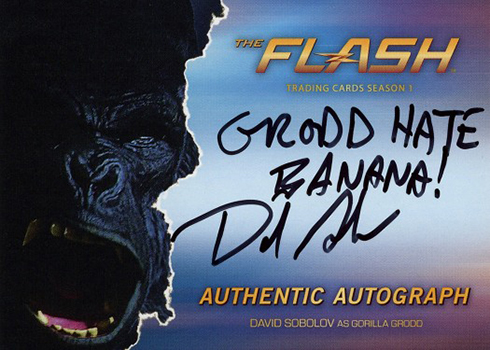 2016 The Flash Season 1 Autographs David Sobolov