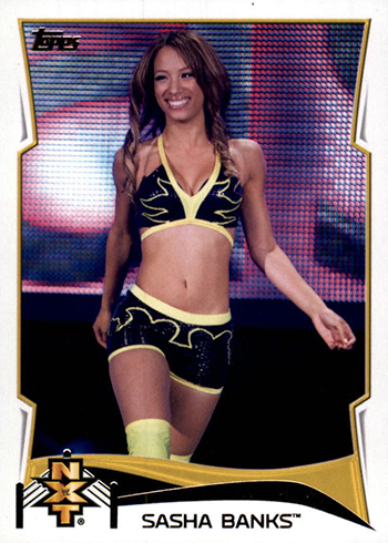 2014 Topps WWE NXT Prospects Sasha Banks