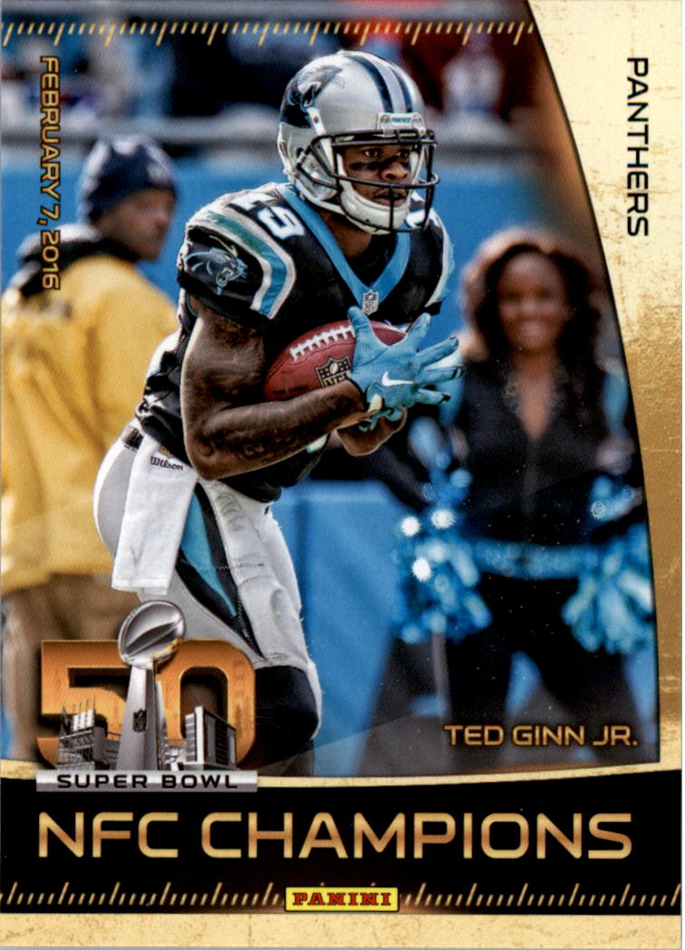 NFL Auction  Panthers - Super Bowl 50 Carolina Panthers Multi