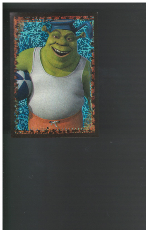 Picture 4 of 11