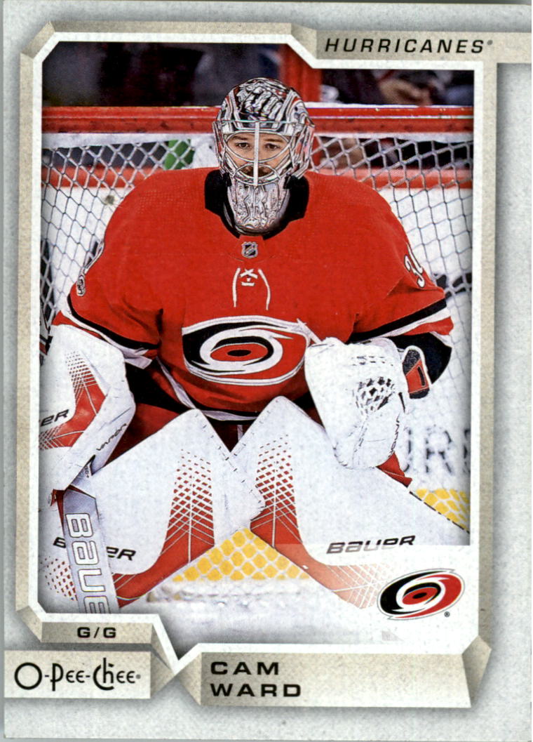 2018-19 O-Pee-Chee Hockey Card Pick 251-500