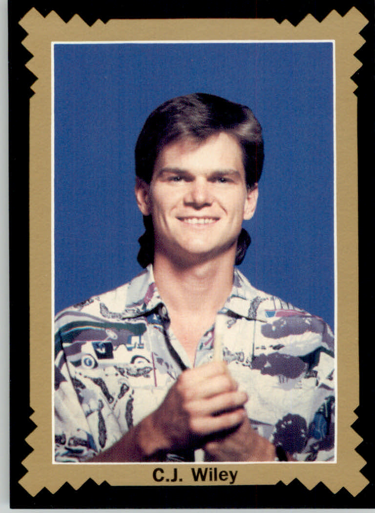 1993 World Wide Collectibles Pro Billiards Tour Cards - Picture 14 of 261