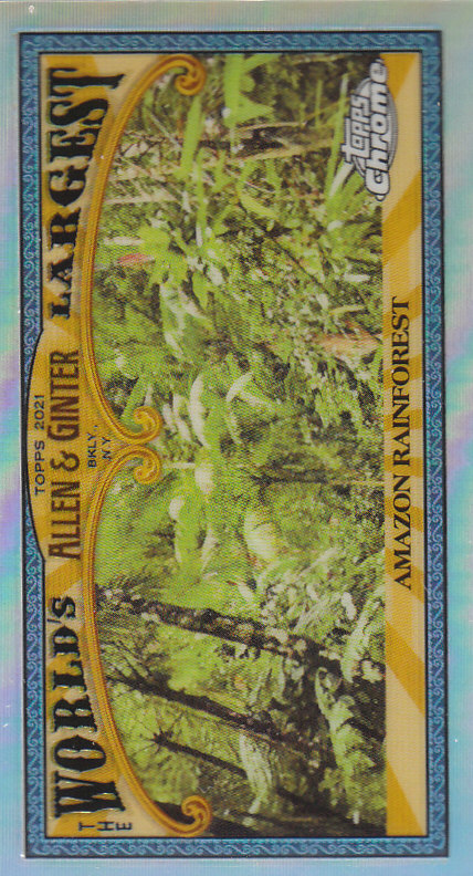 2021 Topps Allen and Ginter Chrome Baseball "Mini Worlds Largest" Insert Cards - Bild 4 von 35