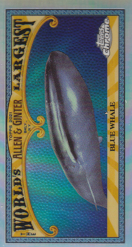 2021 Topps Allen and Ginter Chrome Baseball "Mini Worlds Largest" Insert Cards - Bild 6 von 35