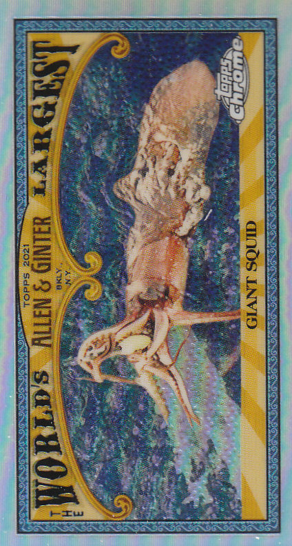 2021 Topps Allen and Ginter Chrome Baseball "Mini Worlds Largest" Insert Cards - Bild 12 von 35