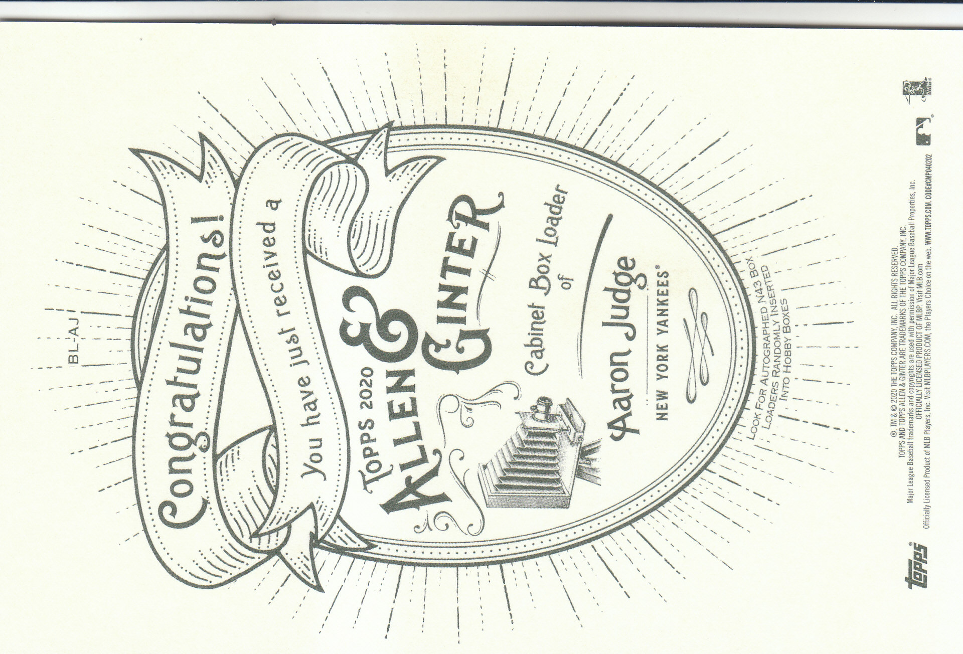 Picture 5 of 19
