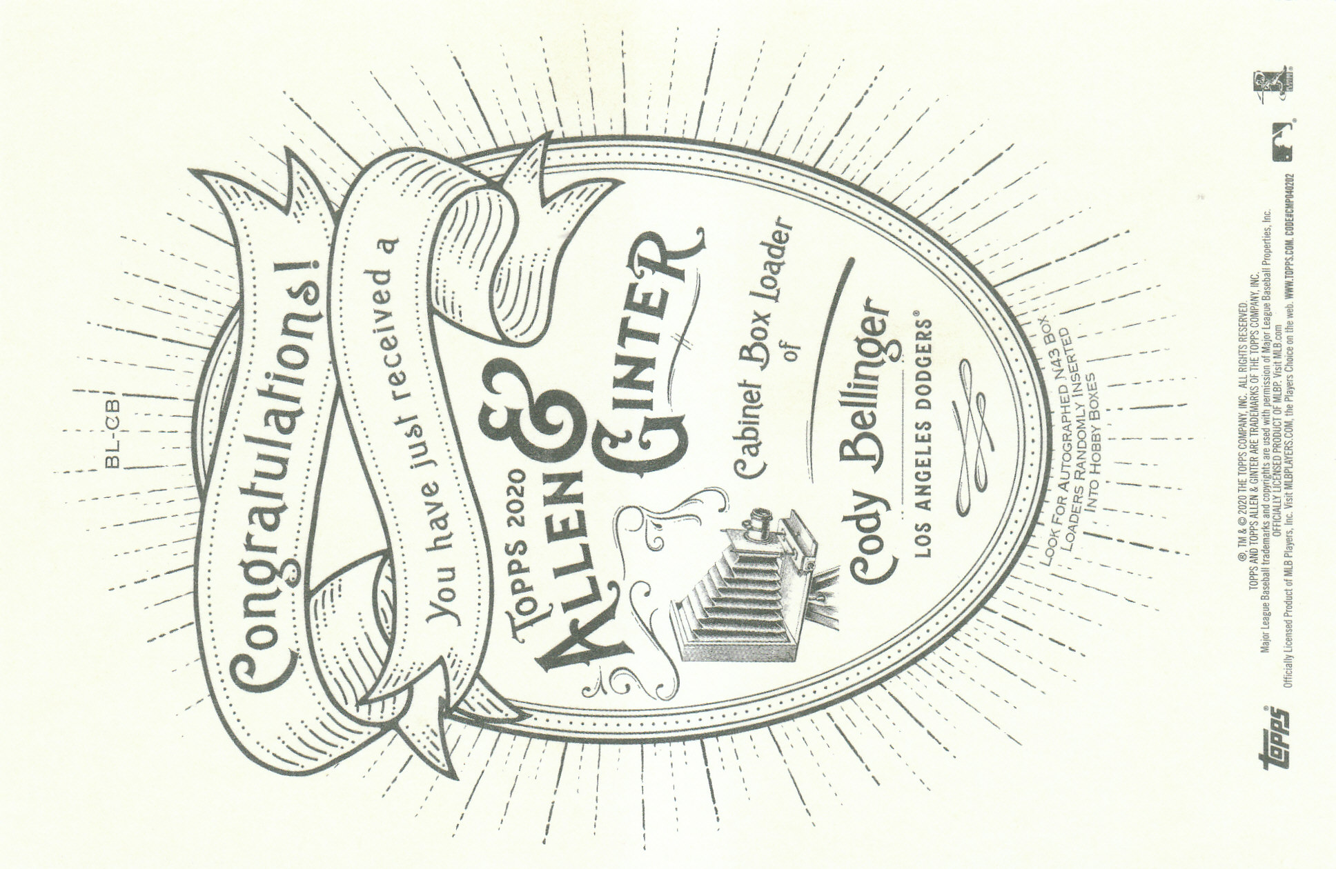 Picture 7 of 19