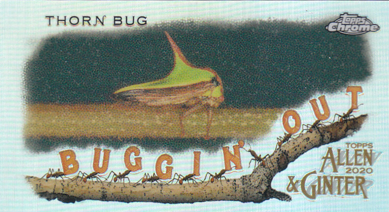 2020 Allen and Ginter Chrome (Topps) Baseball "Buggin Out" Mini Insert Cards - Bild 8 von 35