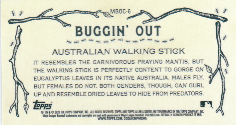 2020 Allen and Ginter Chrome (Topps) Baseball "Buggin Out" Mini Insert Cards - Bild 11 von 35