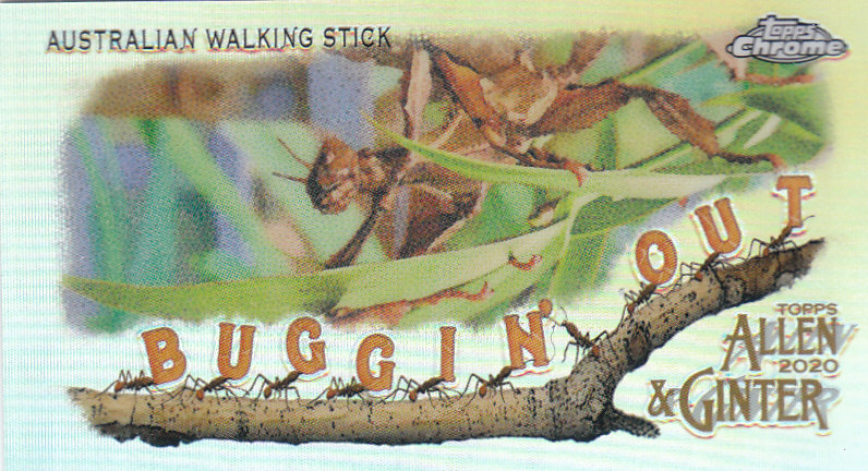 2020 Allen and Ginter Chrome (Topps) Baseball "Buggin Out" Mini Insert Cards - Bild 10 von 35