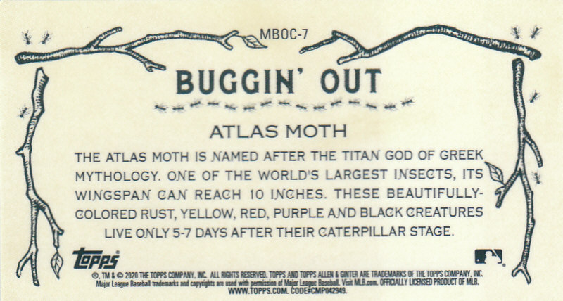 2020 Allen and Ginter Chrome (Topps) Baseball "Buggin Out" Mini Insert Cards - Bild 13 von 35