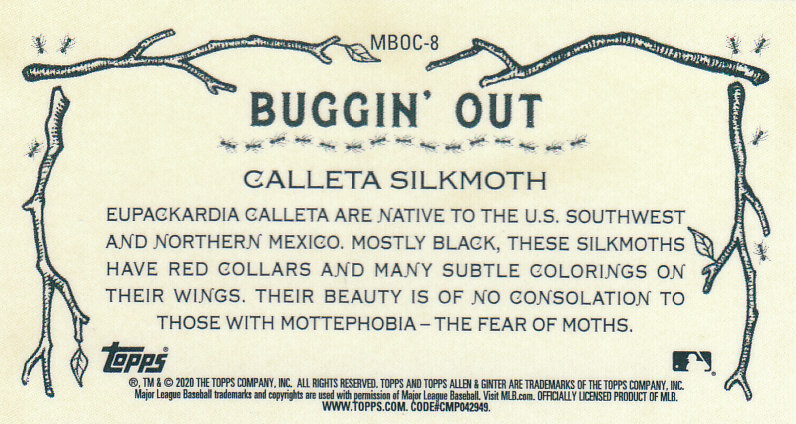 2020 Allen and Ginter Chrome (Topps) Baseball "Buggin Out" Mini Insert Cards - Bild 15 von 35