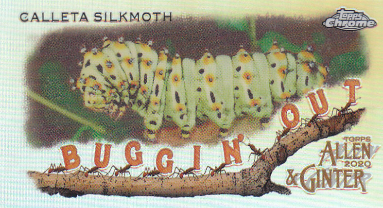 2020 Allen and Ginter Chrome (Topps) Baseball "Buggin Out" Mini Insert Cards - Bild 14 von 35