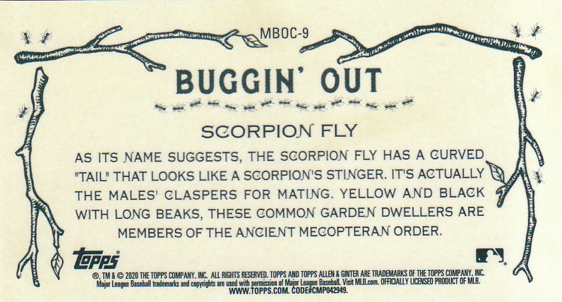 2020 Allen and Ginter Chrome (Topps) Baseball "Buggin Out" Mini Insert Cards - Bild 17 von 35