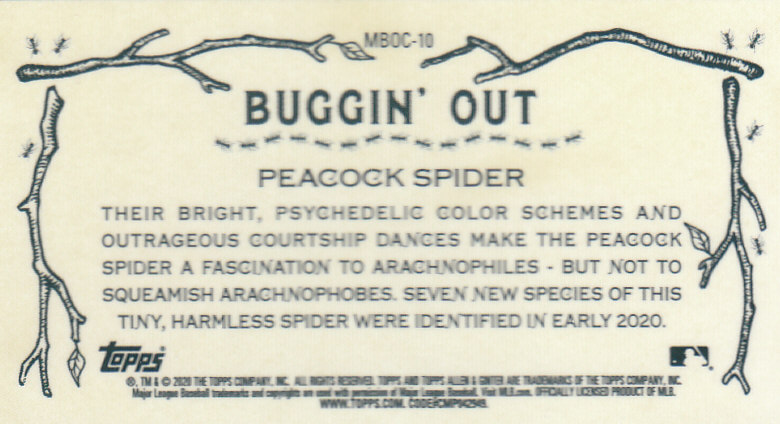2020 Allen and Ginter Chrome (Topps) Baseball "Buggin Out" Mini Insert Cards - Bild 19 von 35