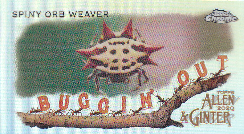 2020 Allen and Ginter Chrome (Topps) Baseball "Buggin Out" Mini Insert Cards - Bild 22 von 35