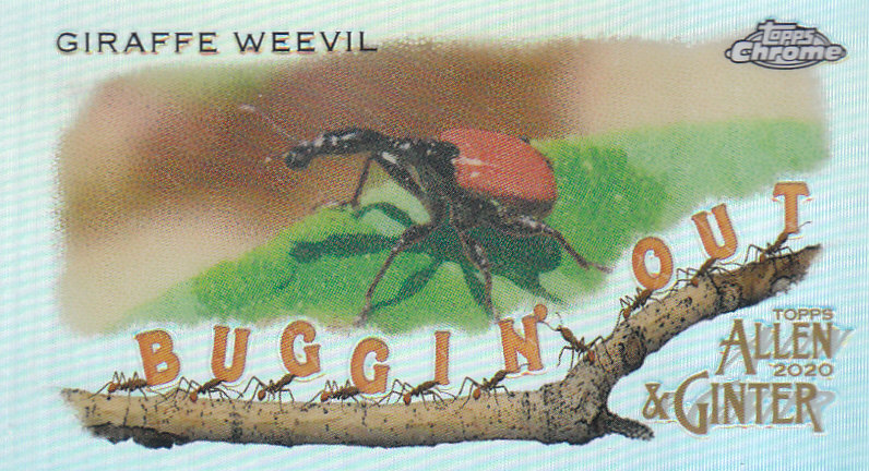 2020 Allen and Ginter Chrome (Topps) Baseball "Buggin Out" Mini Insert Cards - Bild 24 von 35