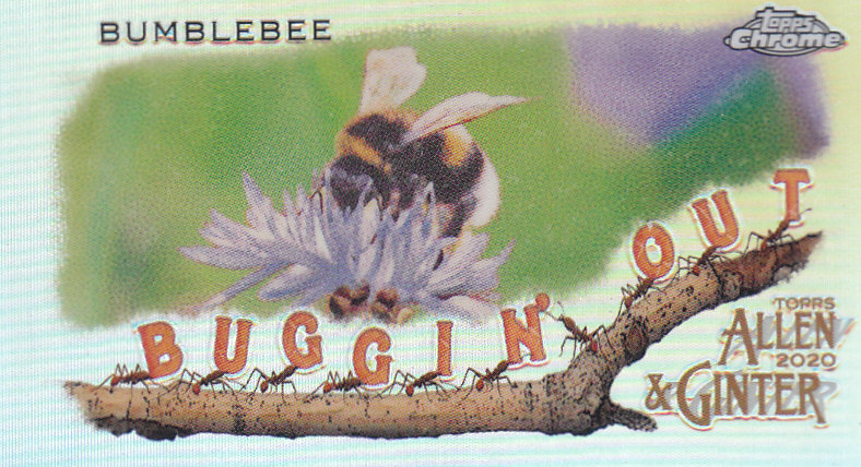 2020 Allen and Ginter Chrome (Topps) Baseball "Buggin Out" Mini Insert Cards - Bild 26 von 35