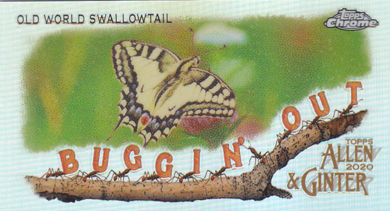 2020 Allen and Ginter Chrome (Topps) Baseball "Buggin Out" Mini Insert Cards - Bild 28 von 35