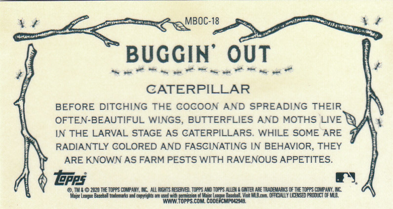 2020 Allen and Ginter Chrome (Topps) Baseball "Buggin Out" Mini Insert Cards - Bild 31 von 35