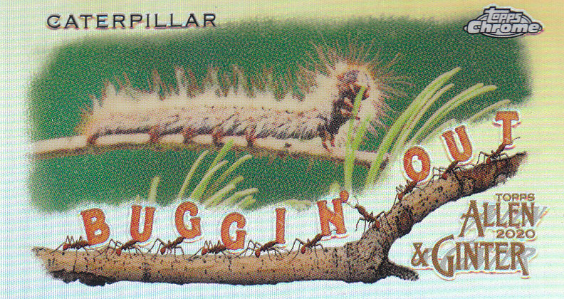 2020 Allen and Ginter Chrome (Topps) Baseball "Buggin Out" Mini Insert Cards - Bild 30 von 35