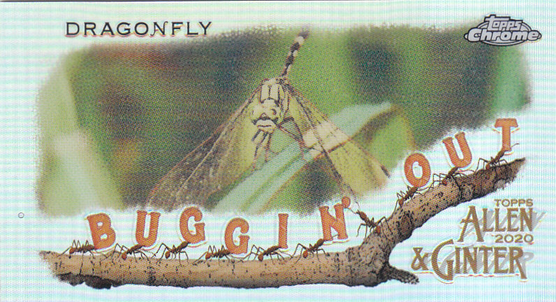 2020 Allen and Ginter Chrome (Topps) Baseball "Buggin Out" Mini Insert Cards - Bild 32 von 35