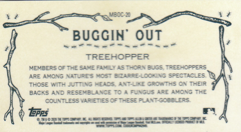 2020 Allen and Ginter Chrome (Topps) Baseball "Buggin Out" Mini Insert Cards - Bild 35 von 35