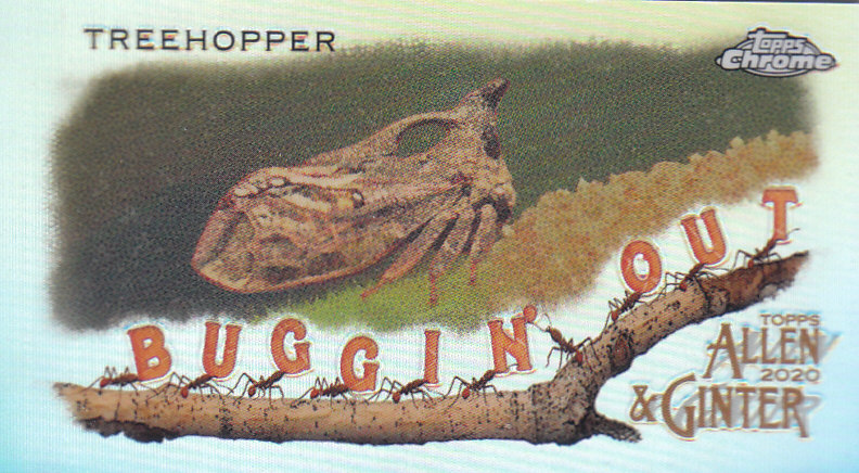 2020 Allen and Ginter Chrome (Topps) Baseball "Buggin Out" Mini Insert Cards - Bild 34 von 35