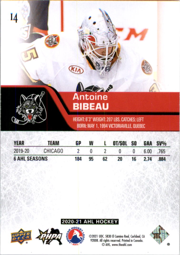 2020-21 Upper Deck AHL Hockey Card Pick - Picture 29 of 500