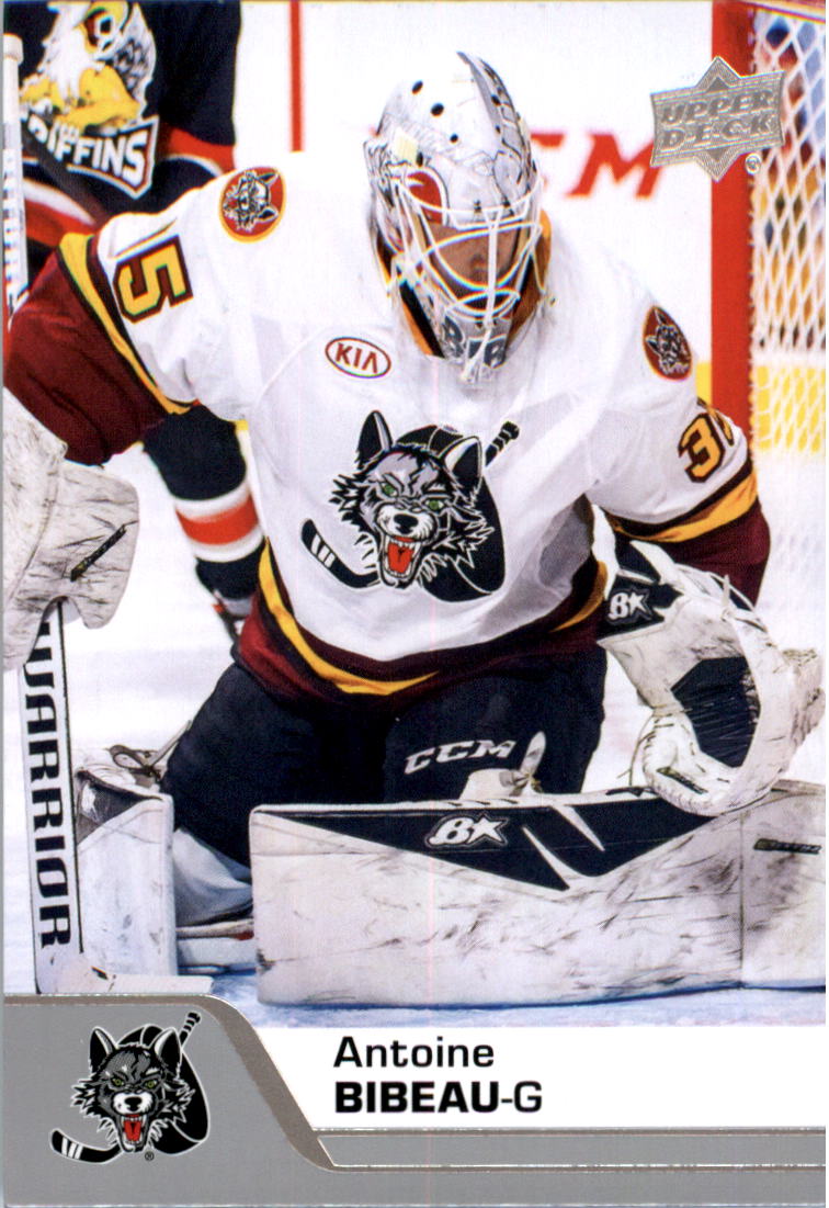 2020-21 Upper Deck AHL Hockey Card Pick - Picture 28 of 500