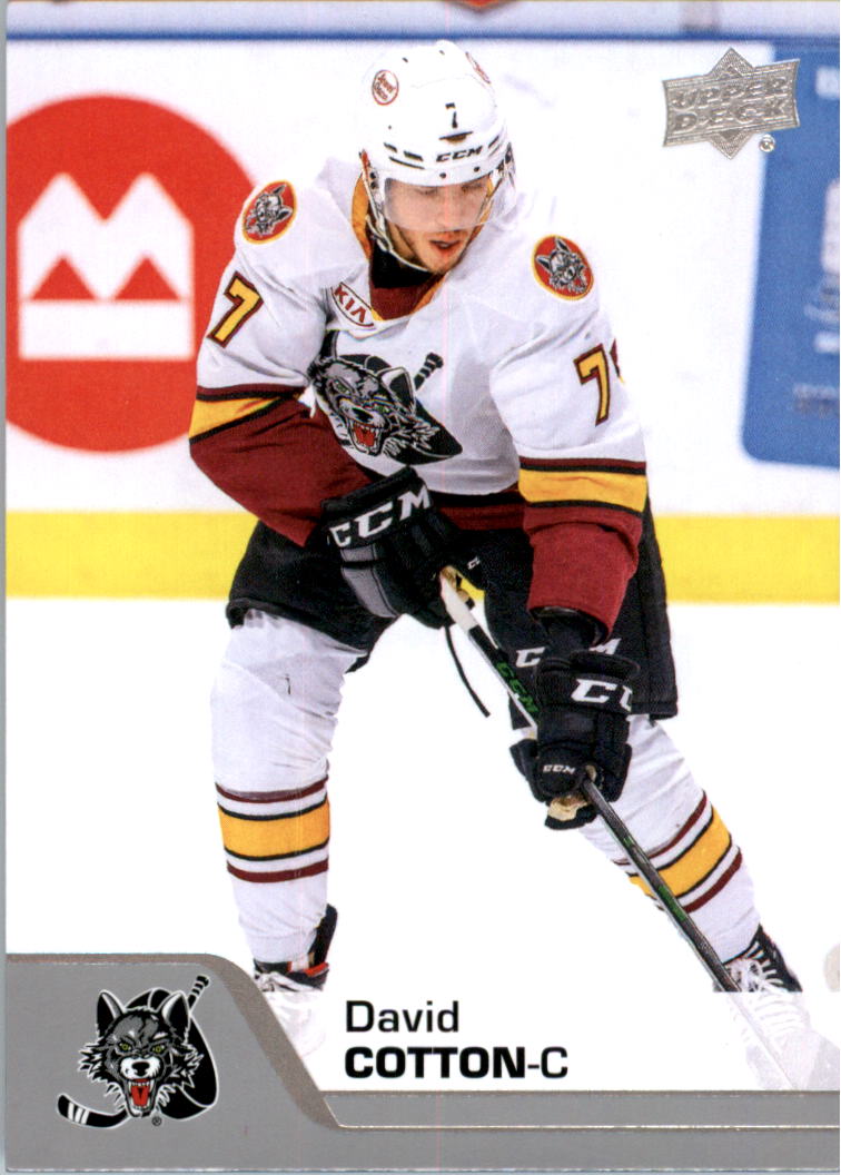 2020-21 Upper Deck AHL Hockey Card Pick - Picture 89 of 500