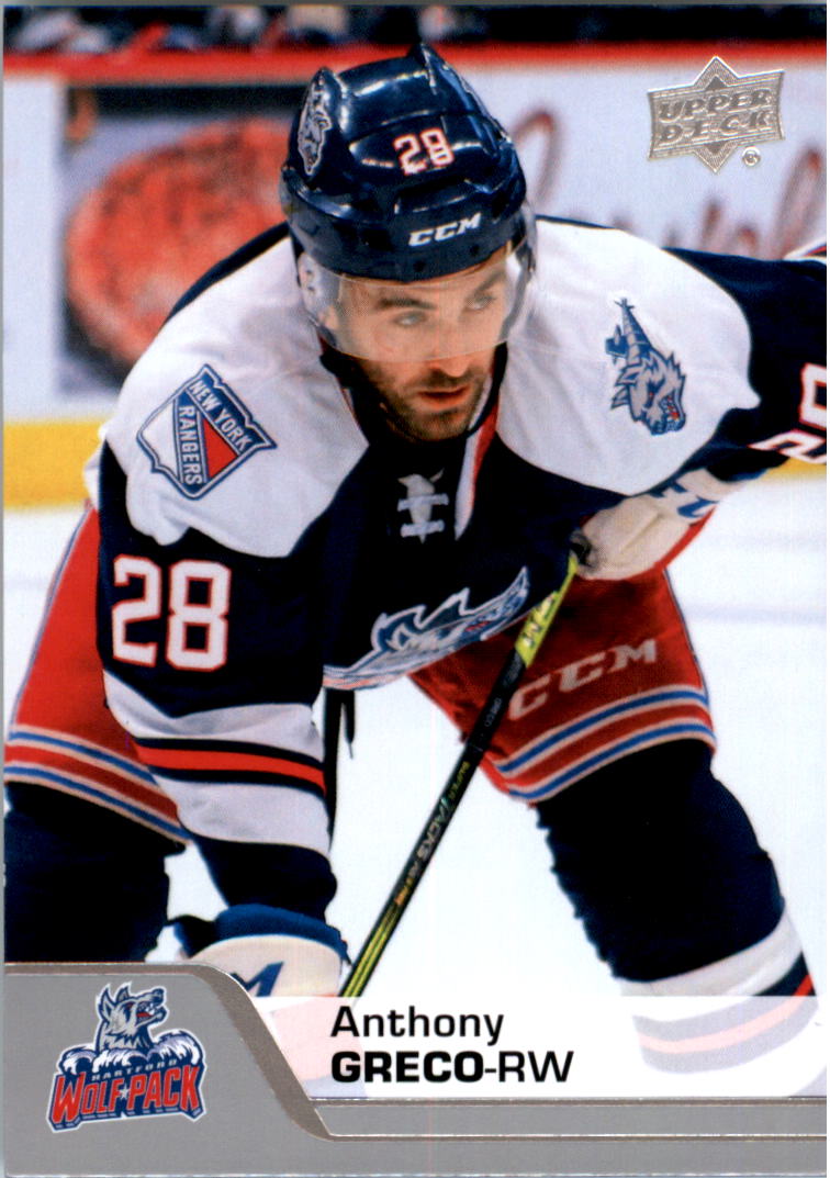 2020-21 Upper Deck AHL Hockey Card Pick - Picture 265 of 500