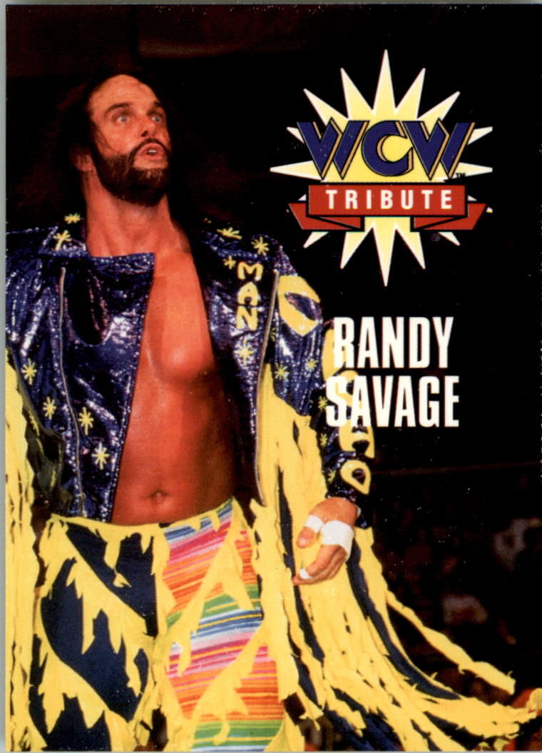 1995 CARDZ WCW Main Event Wrestling Card Pick - Picture 112 of 163