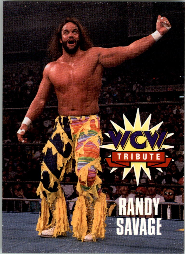 1995 CARDZ WCW Main Event Wrestling Card Pick - Picture 114 of 163