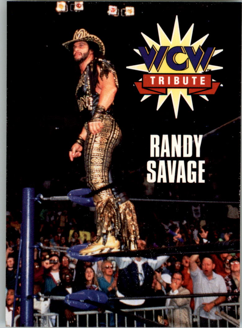 1995 CARDZ WCW Main Event Wrestling Card Pick - Picture 116 of 163