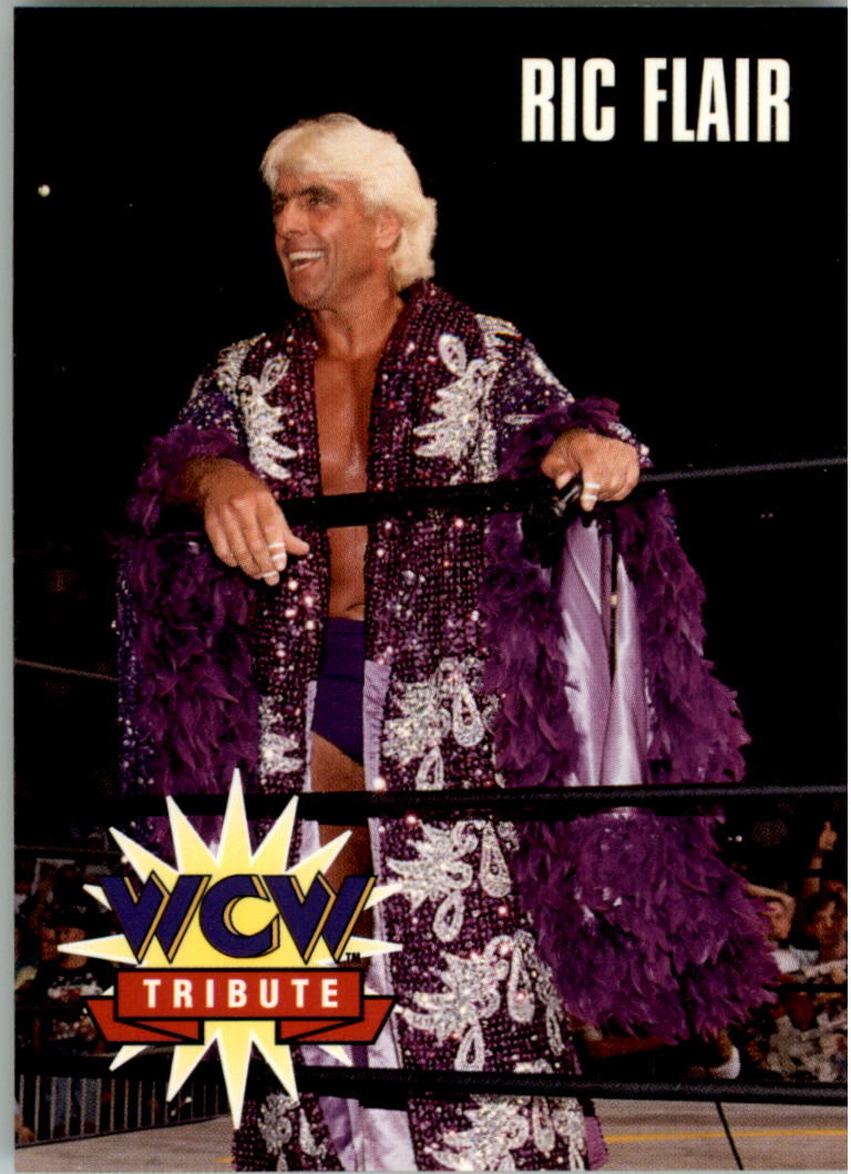 1995 CARDZ WCW Main Event Wrestling Card Pick - Picture 122 of 163