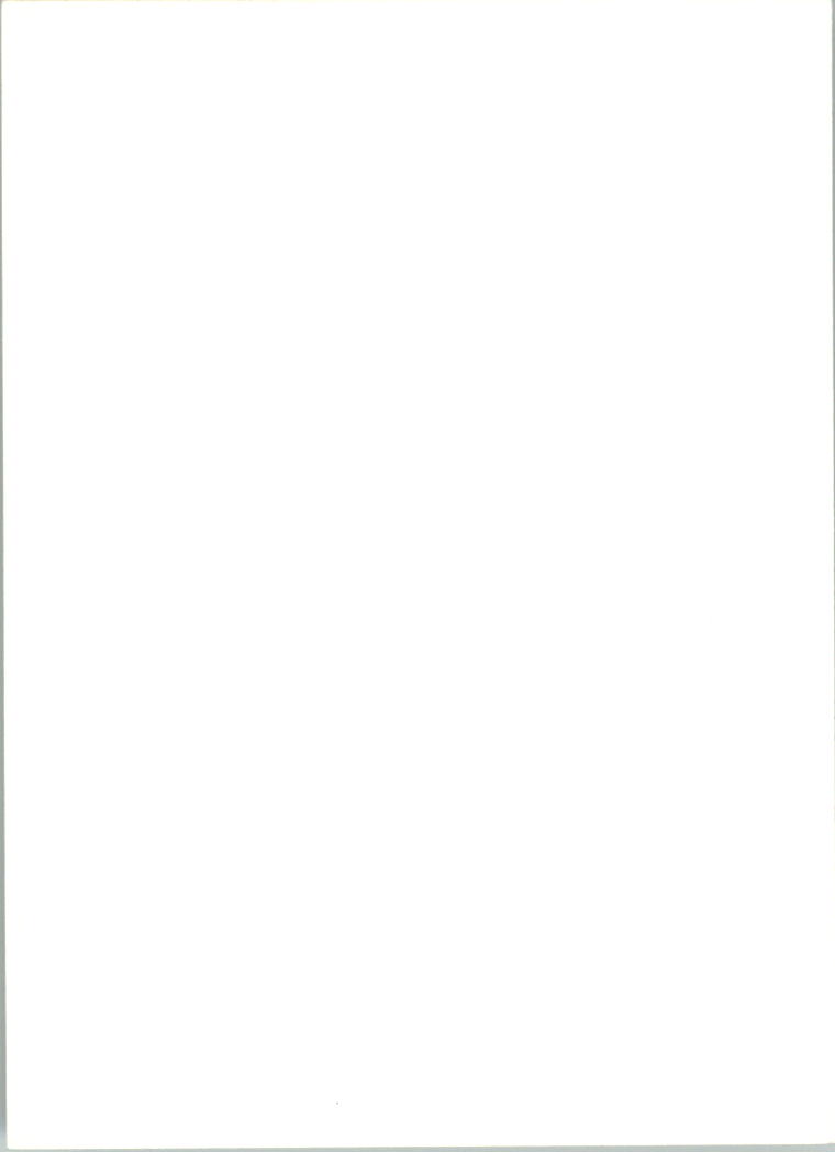Bild 281 von 355