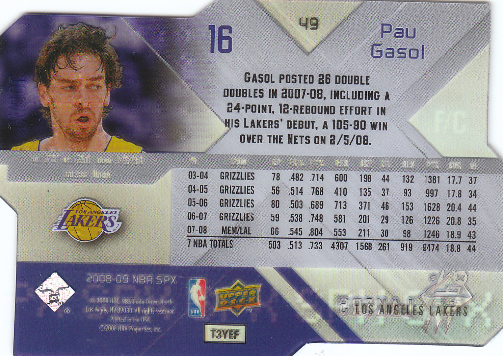 2008/2009 SPX (Upper Deck) Basketball - Picture 45 of 73