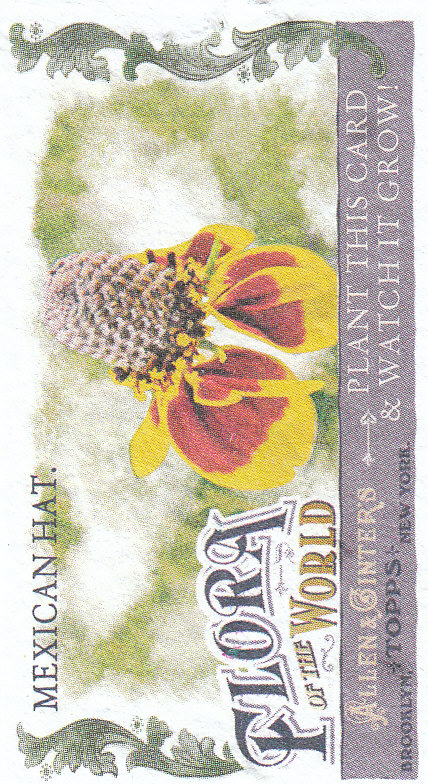 2011 Topps Allen and Ginter Baseball Part 1 Mini - Picture 319 of 366